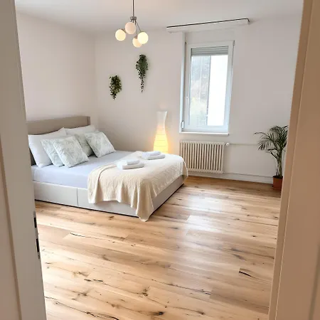 Gemütliche Und Geräumige 2,5 Mit Kostenlosem Parkplatz Apartment